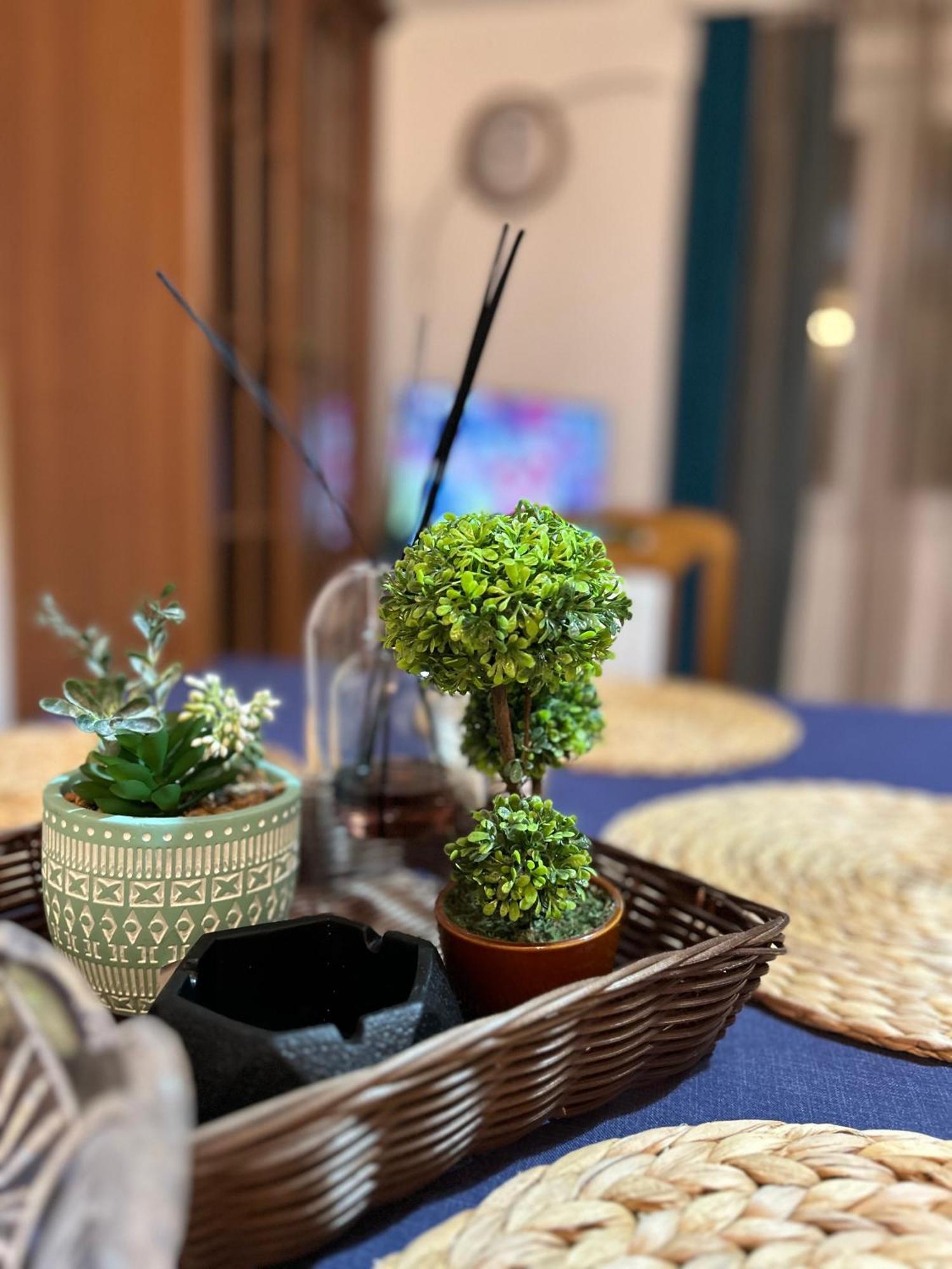 Blue Shell Apartments Котор Екстер'єр фото